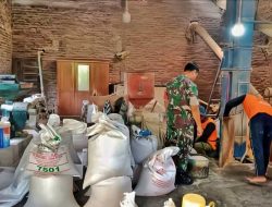 Babinsa Sambi Bangun Sinergi dengan Penggilingan Padi, Dukung Ketahanan Pangan
