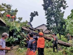 Babinsa Sigap Bantu Evakuasi Pohon Tumbang Timpa Rumah Warga