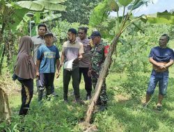 Babinsa Simo Kawal Pengukuran Tanah Warga, Cegah Sengketa Lahan Sejak Dini