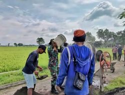 Babinsa Turut Bantu Pengecoran Jalan, Wujudkan Semangat Gotong Royong